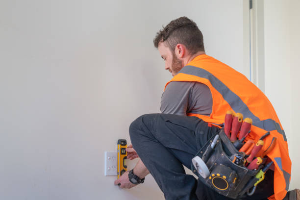 Best Electric Panel Repair  in Heritage Pines, FL