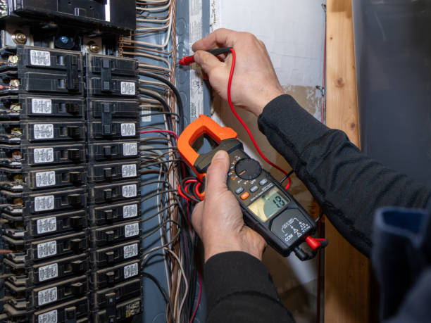 Best Electric Panel Repair  in Heritage Pines, FL